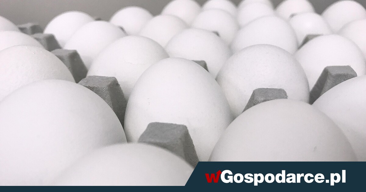 Jaja na Wielkanoc: ceny wyższe od 22 do 70 proc.