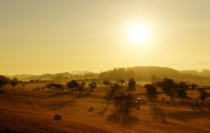 Słońce / autor: pixbay/xuuxuu