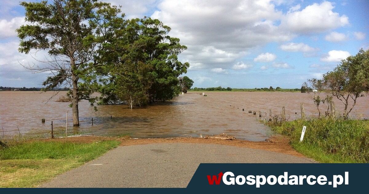 GOTOWE Alarm dla Polski! Nadchodzą powodzie