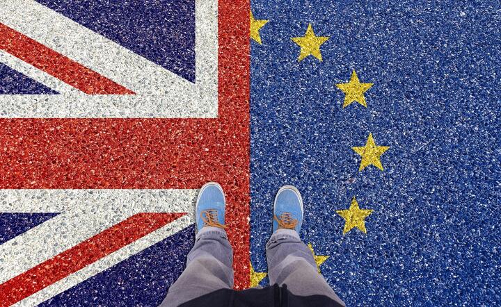 Unia Europejska jest gotowa na twardy ekonomiczny brexit / autor: Pixabay