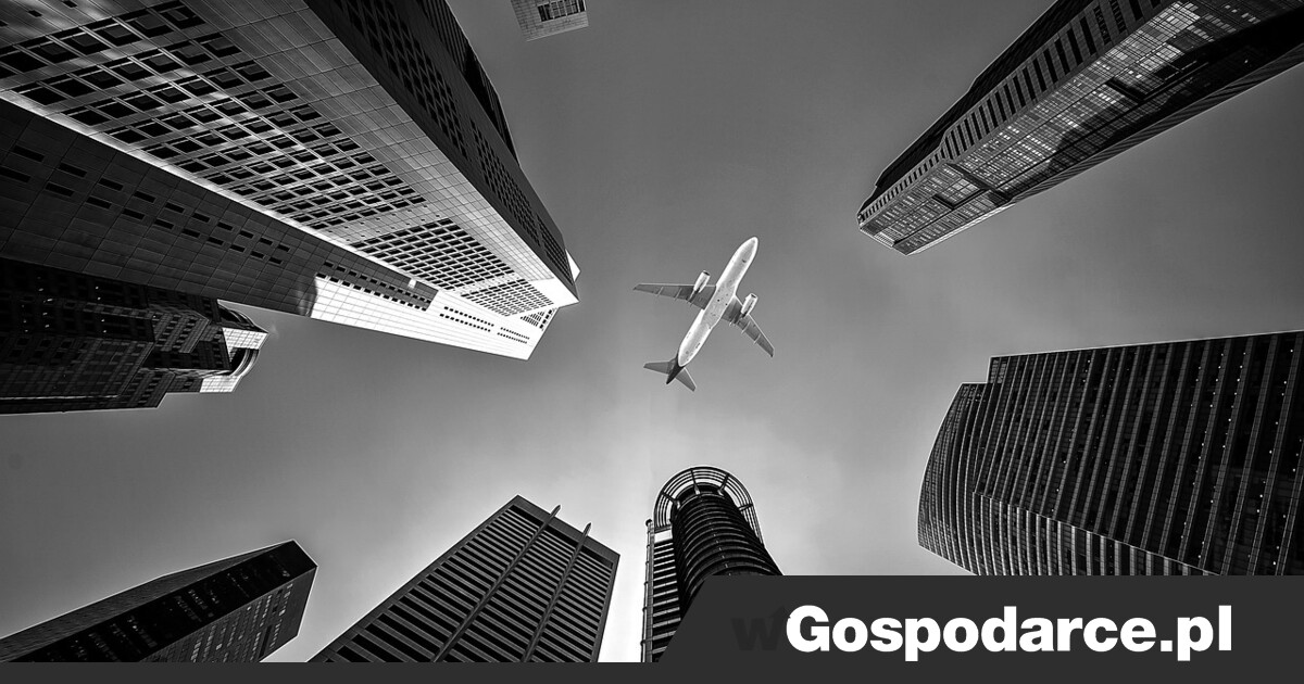 Wysokie loty (i zyski) linii lotniczych