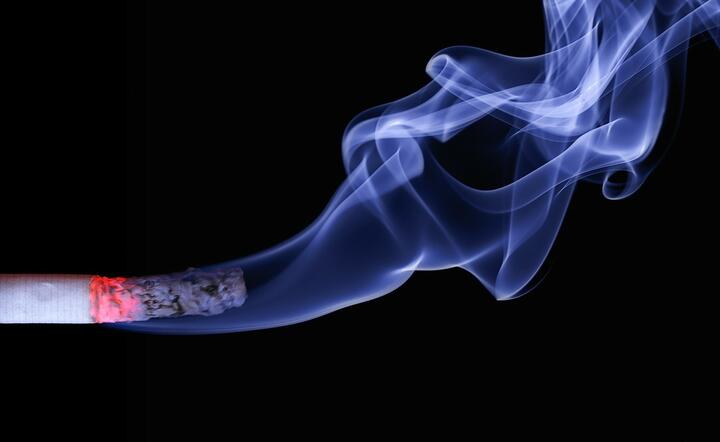 Rośnie legalna sprzedaż papierosów, kurczy się szara strefa