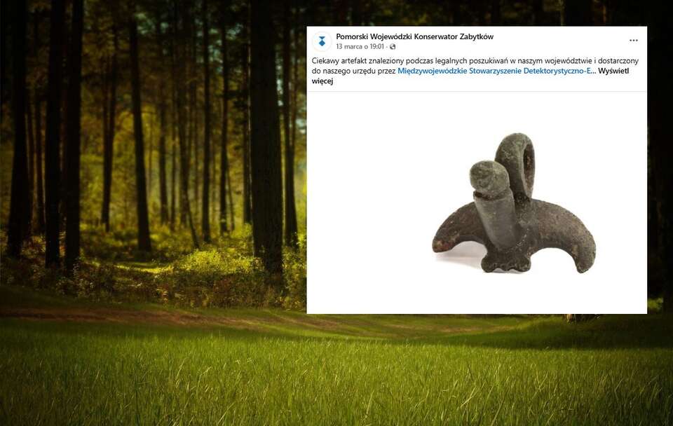Amulet o nietypowym kształcie wykopano w Borach Tucholskich!