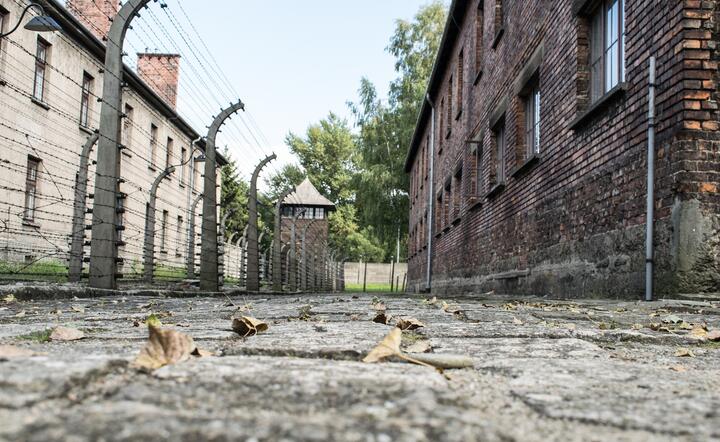 Obóz w Auschwitz / autor: pixabay.com