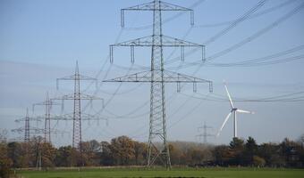 Na TGE znaczny wzrost obrotów energią elektryczną przy spadku ceny