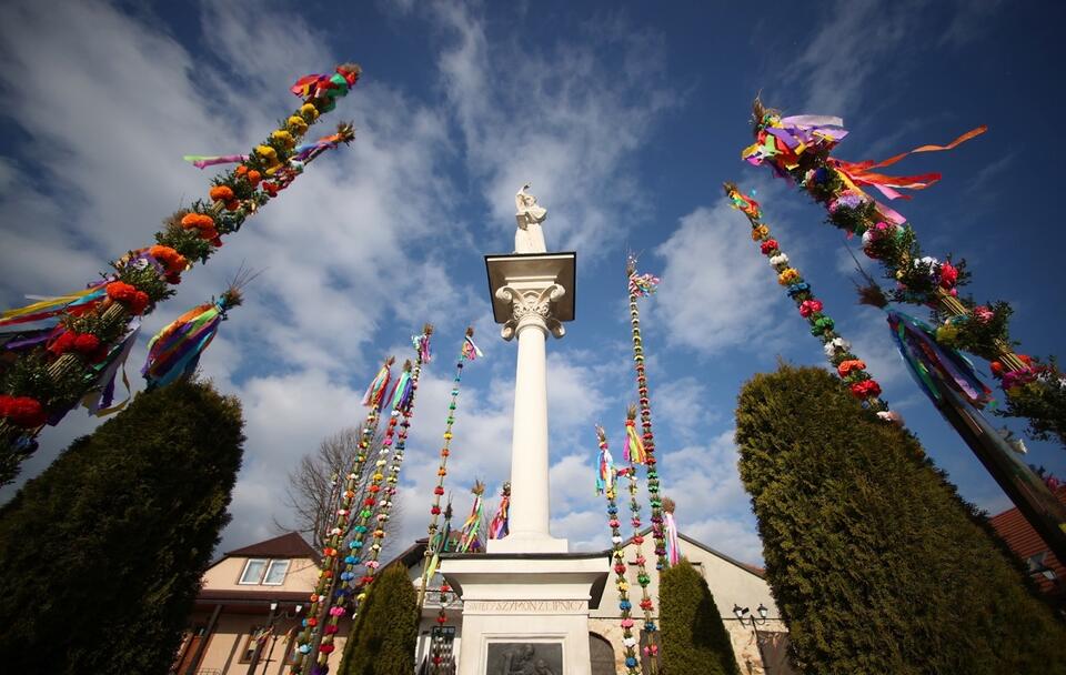 autor: PAP/Łukasz Gągulski