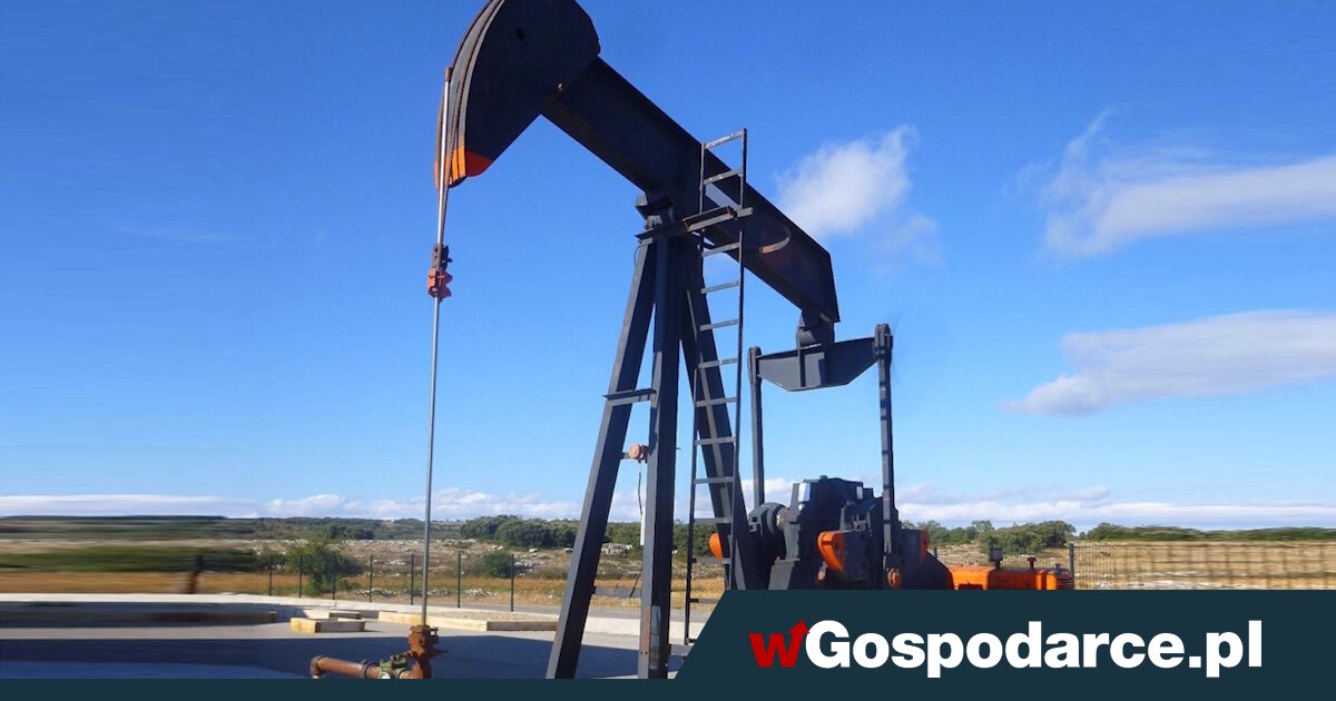 Ropa wznawia wzrosty. Jest jedna obawa inwestorów