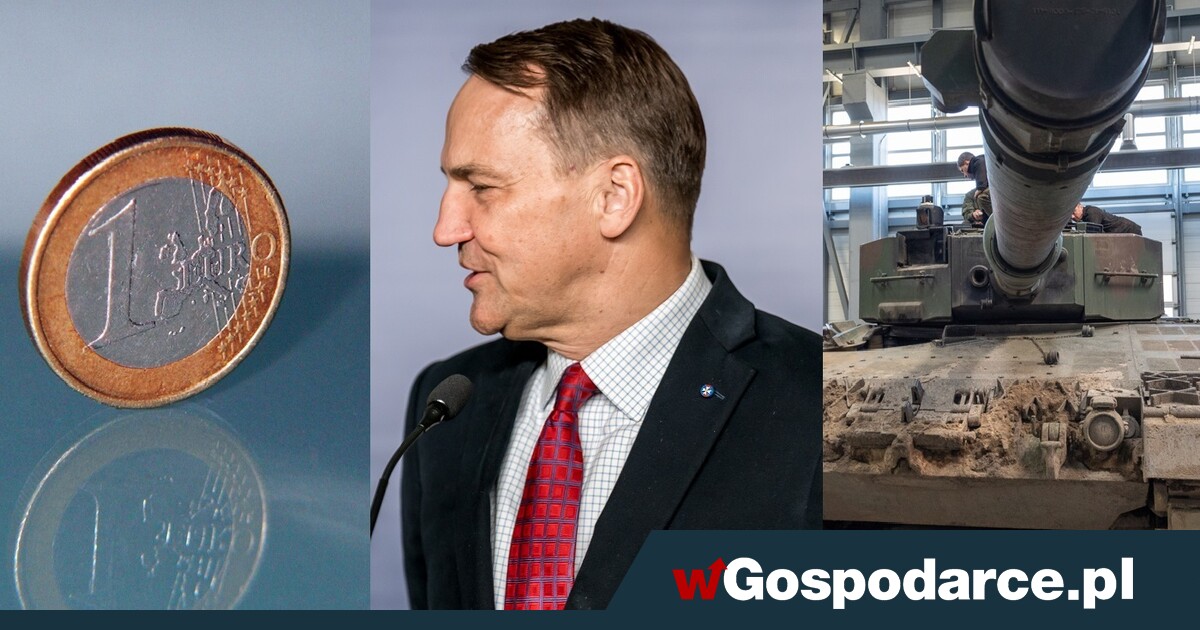 SAFE to wstęp do euro w Polsce? Sikorski się wygadał