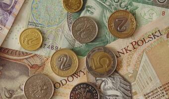 Złoty nie traci wigoru