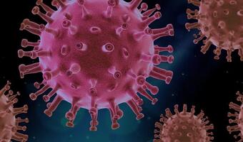 Objawy zależą od ilości wirusa w organizmie!
