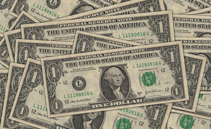 Inwestorzy pokładają duże nadzieje w planach fiskalnych prezydenta USA / autor: Pixabay