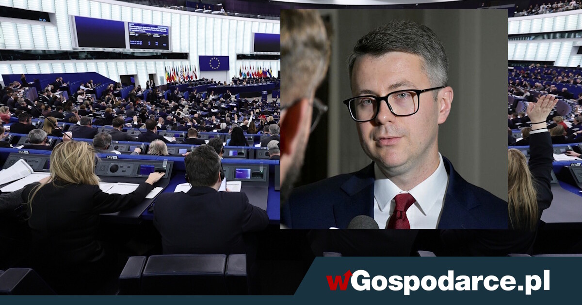 Klauzula ochronna w Mercosur - "Polityczna fikcja, która ma jedynie uspokoić opinię"