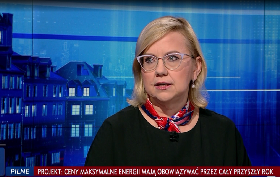 Minister klimatu i środowiska Anna Moskwa w programie Gość Wiadomości / autor: TVP Info