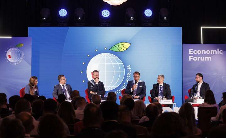 Panel dyskusyjny na Forum Ekonomicznym w Karpaczu / autor: materiały prasowe Instytutu Studiów Wschodnich