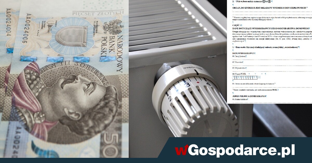 Do wzięcia choćby 3500 zł wsparcia. Jak złożyć wniosek?