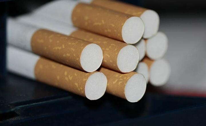 Służby uderzają w przemyt! 0,5 mln paczek papierosów zamiast ładunku ryb