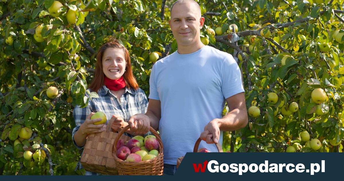 Samozbiory – sieci handlowe poczuły krew