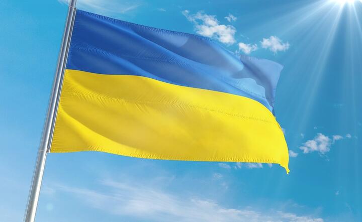 Ukraina / autor: Pixabay