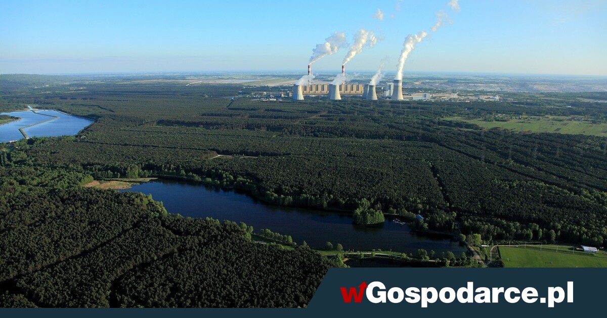 Zderzenie: atom w Koninie albo Bełchatowie?