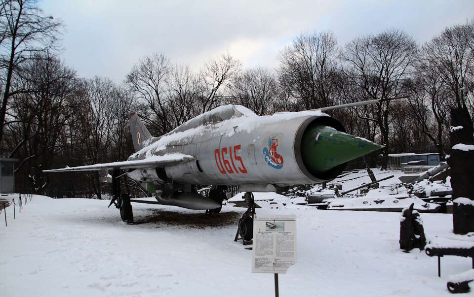 autor: Michał Karnowski