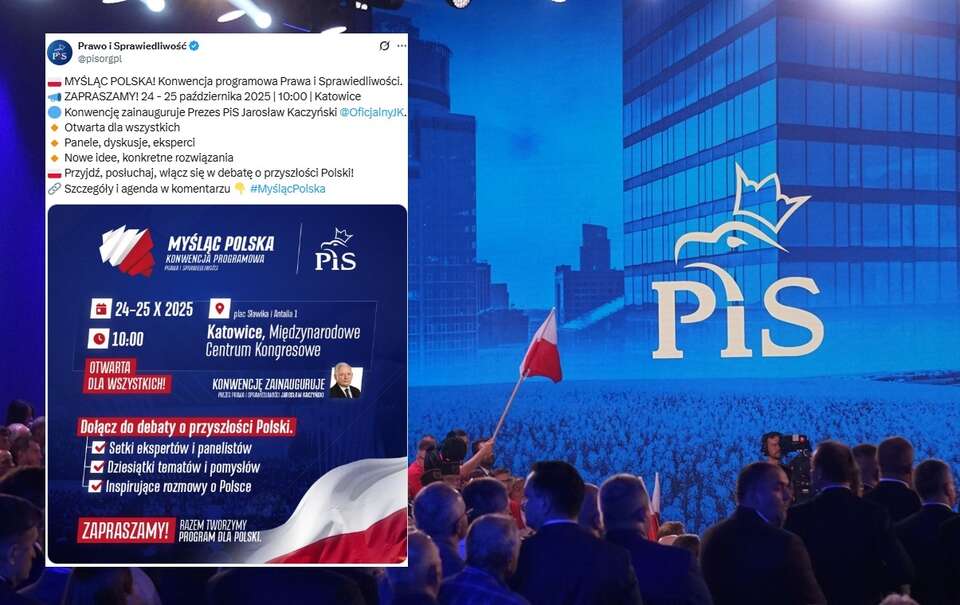 PiS / autor: Fratria