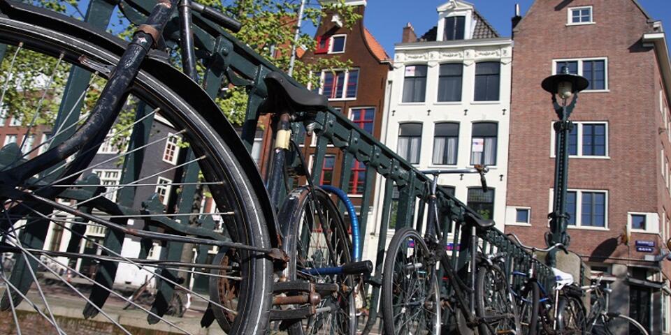 Fot.zdjęcie ilustracyjne freeimages.com