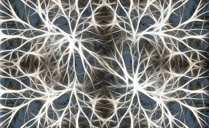 Algorytmy prześledziły ścieżki neuronów (zdjęcie ilustracyjne) / autor: Pixabay