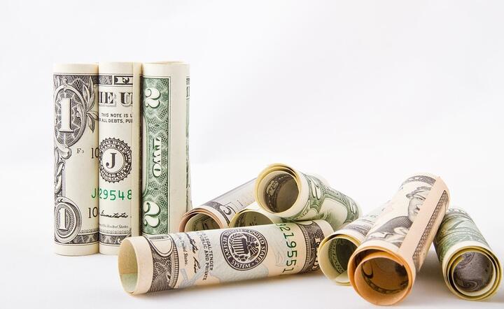 Kurs dolara cierpi przez wybory prezydenckie w USA / autor: Pixabay