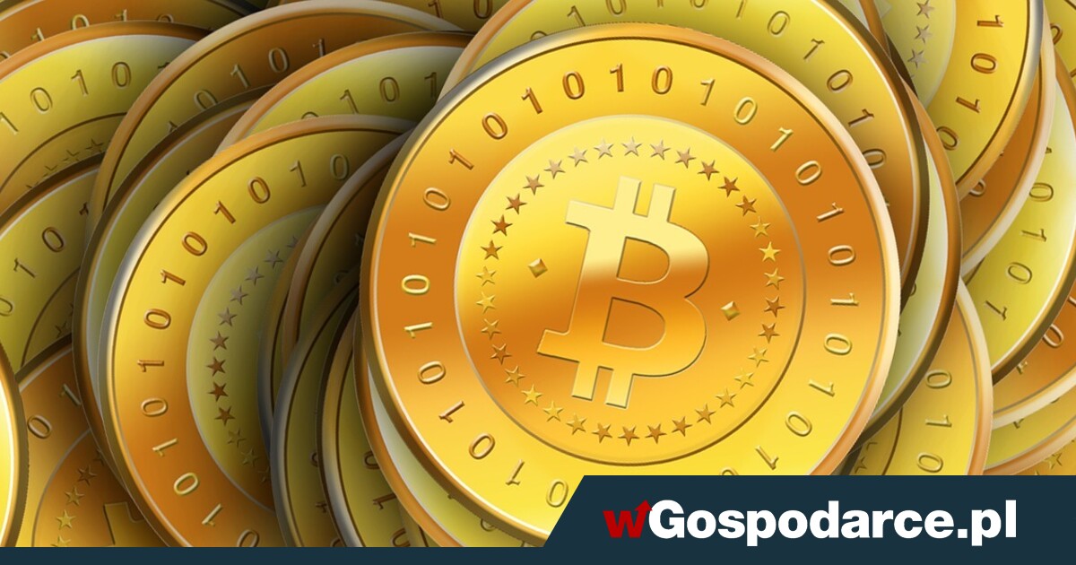 Od 2 do 10 mln Polaków ma kryptowaluty. Wyniki badania NBP