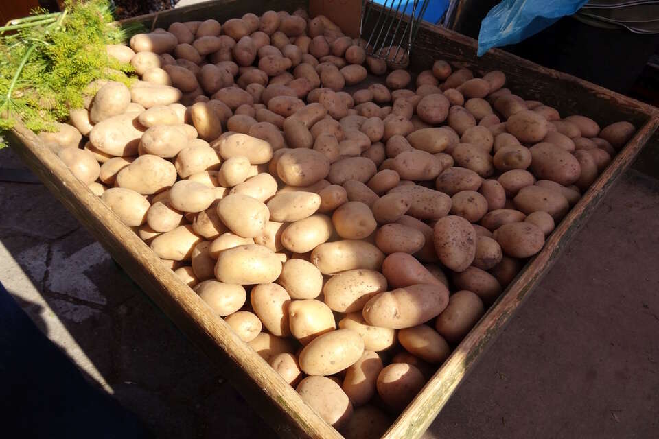 Na zdjęciu ziemniaki w skrzyni / autor: Fratria