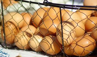 Belgia ponad miesiąc zwlekała z zawiadomieniem KE o skażonych jajach