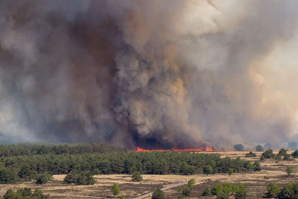 Na poligonie wojskowym we wsi ’t Harde na skraju lasu Veluwe w prowincji Geldria, największej w Holandii, trwa pożar. / autor: PAP/EPA