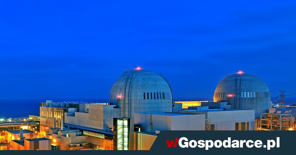 Korea płynie na fali nuklearnego renesansu. A my?