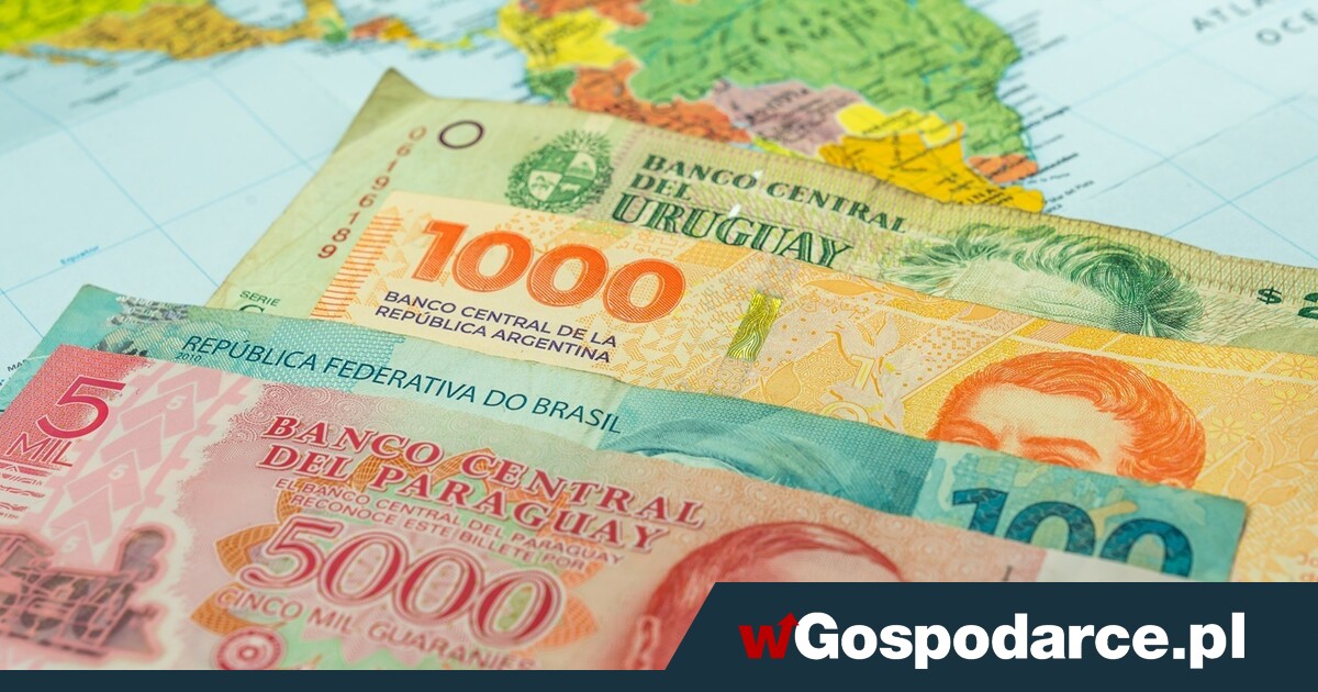 Ruszył import żywności z Mercosur. Czy rolnicy to przeżyją?