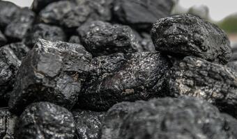 Węgiel  najdroższy od pięciu lat