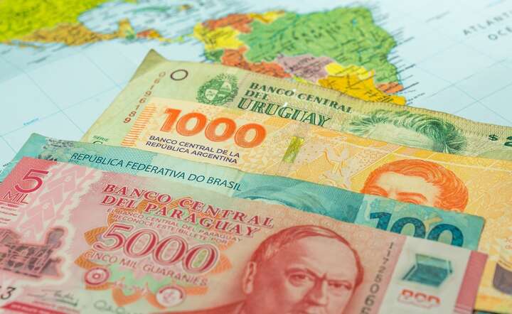 Ruszył import żywności z Mercosur. Czy rolnicy to przeżyją?