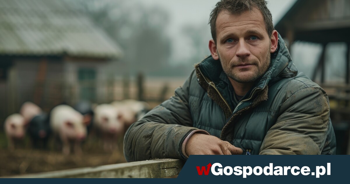 Rolnicze rodziny zagrożone biedą