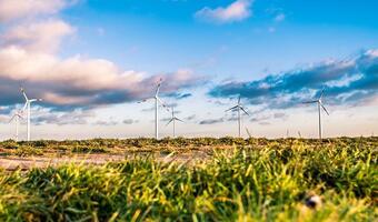 Nowa Unia już dogania starą w odnawialnej energii