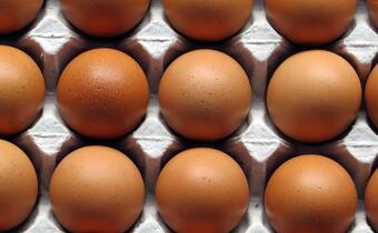 Słowacja: Wykryto holenderskie jaja skażone fipronilem