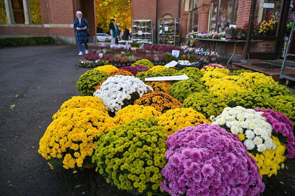 na zdjęciu sprzedaż kwiatów przy Cmentarzu Centralnym w Szczecinie, przed dniem Wszystkich Świętych / autor: PAP/Marcin Bielecki