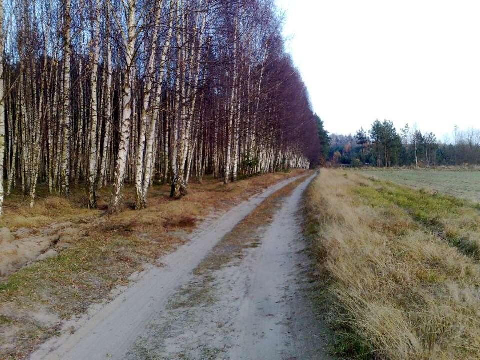 Fot. wPolityce.pl