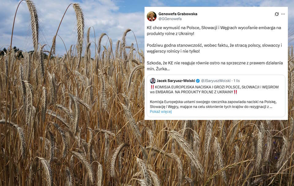 Zboże z Ukrainy będzie dla polskich rolników dużym problemem  / autor: Fratria