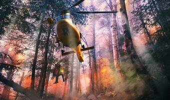 KE spodziewa się wielkich pożarów lasów w Europie