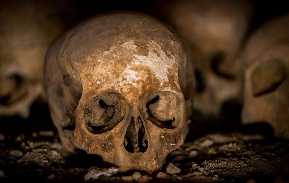 Na terenie żwirowni koło Buska-Zdroju znaleziono ludzkie kości!