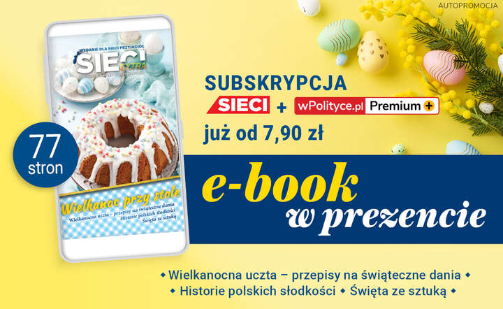 Promocja e-book tygodnik Sieci / autor: Fratria