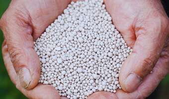 Ceny nawozów wystrzelą? Grupa Azoty wstrzymała zamówienia!