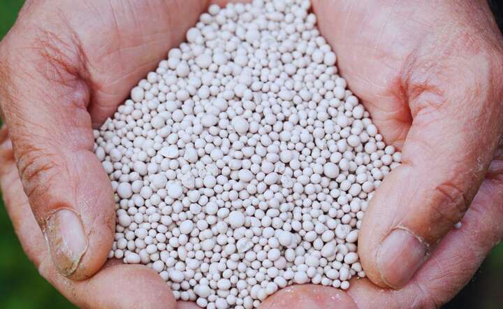 Bliski Wschód to kluczowy producent surowców i nawozów azotowych, w tym mocznika / autor: Canva