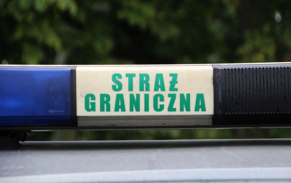 autor: Michał Karnowski