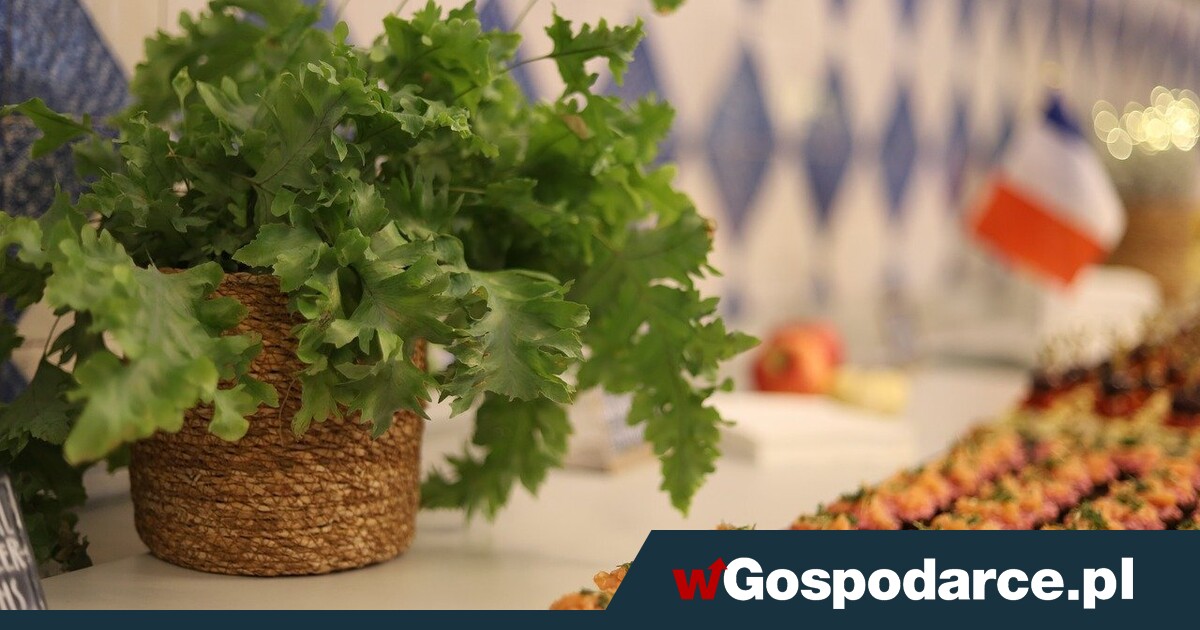 W cateringu liczą się rabaty i promocje