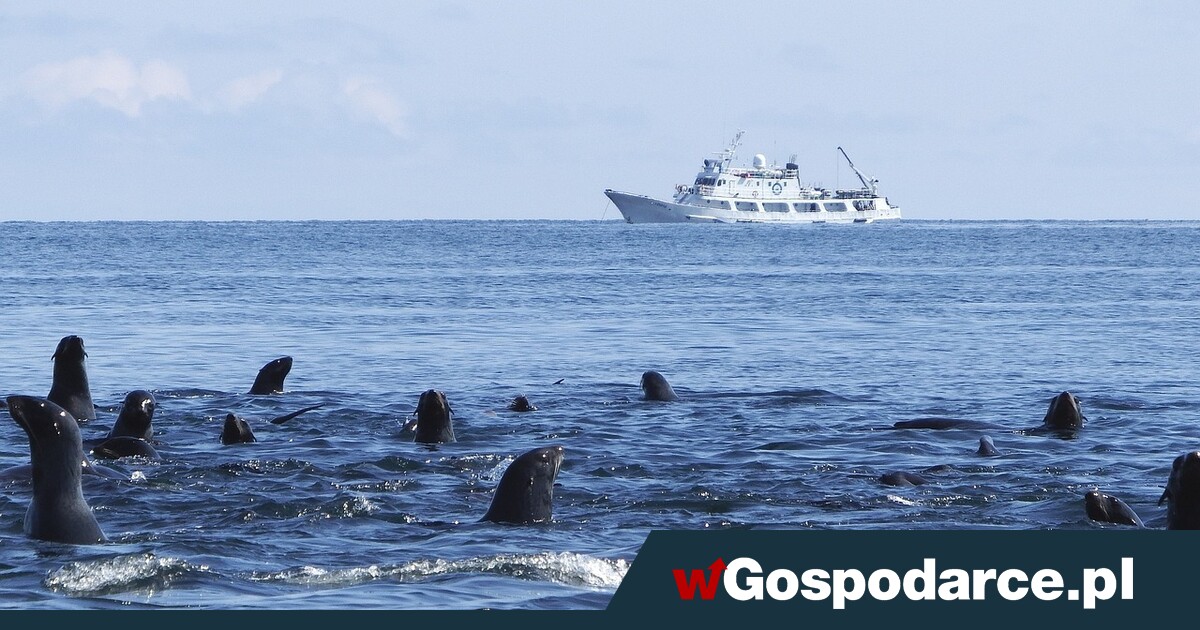 Game of the Arctic. Russia and China on standby